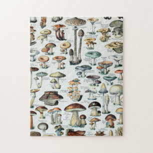 Puzzle Graphique des champignons comestibles Vintages