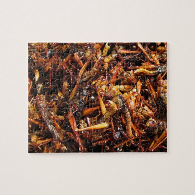 Puzzle Grasshopper frit (Takkataen Thot) Alimentation asi (Horizontal)