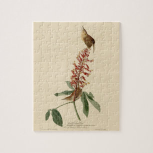 Puzzle Great Carolina Wren - Audubon's Birds of America