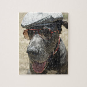 Puzzle Great Dane portant casquette et lunettes de soleil