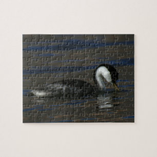 Puzzle Grèbe potable