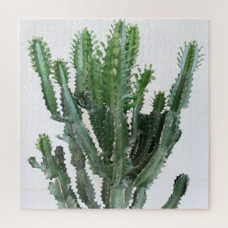 Puzzle Green Cactus : minimaliste Arrière - plan blanc
