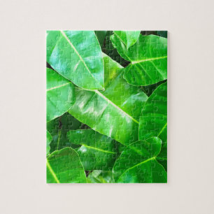 Puzzle Green feuille Palm Leaf feuillage tropical jungle