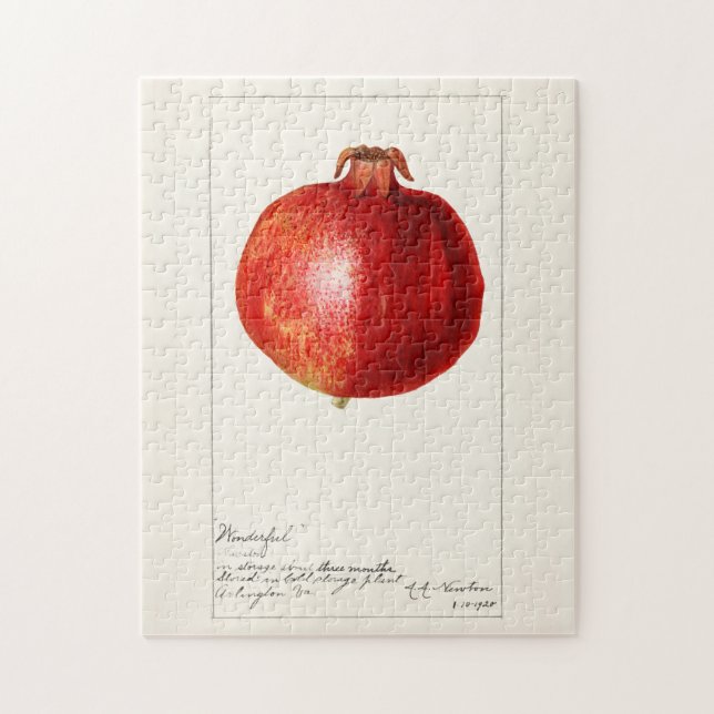 Puzzle Grenades (Punica Granatum) Peinture de fruits (Vertical)