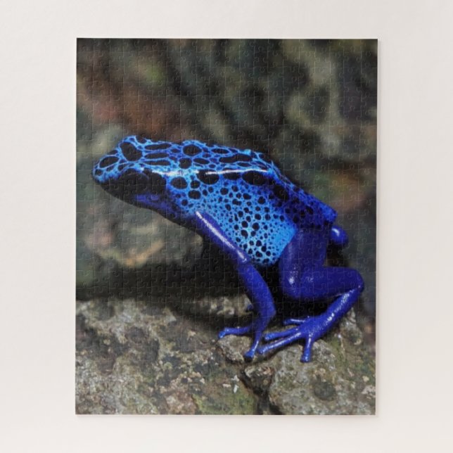 Puzzle Grenouille à tarte à poison bleu, grenouille bleue (Vertical)