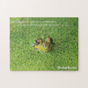 Puzzle Grenouille dans les algues vertes
