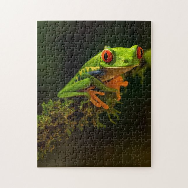 Puzzle Grenouille exotique verte Reptile d'été avec yeux  (Vertical)