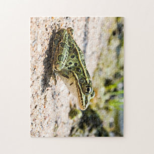 Puzzle Grenouille léopard cool