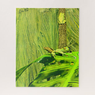 Puzzle Grenouille verte Grenouille australienne