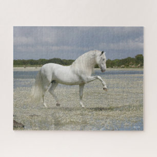 Puzzle Grey Andalucian Stallion Standing In Lake