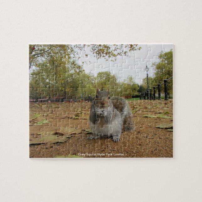 Puzzle Grey Squirel Hyde Park Londres (Horizontal)