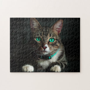 Puzzle Grey & White Cat with Blue Eyes & Matching Collar