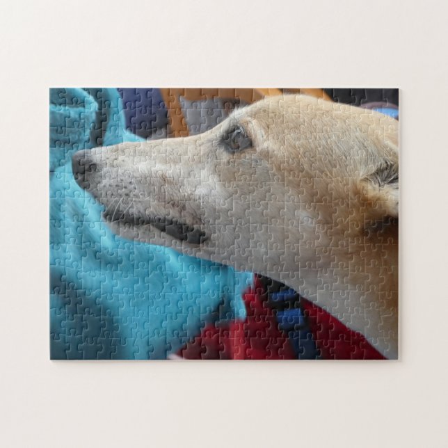 Puzzle Greyhound (Horizontal)