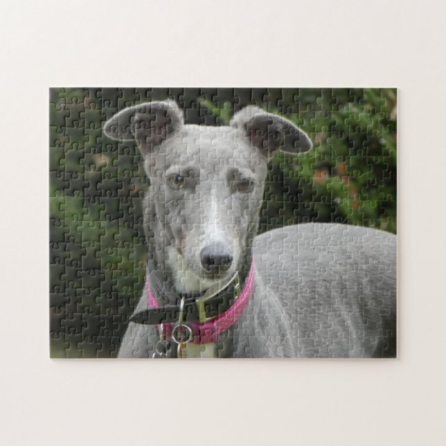 Puzzle Greyhound (Horizontal)