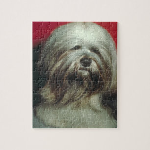 Puzzle gris de chien de Lhasa Apso