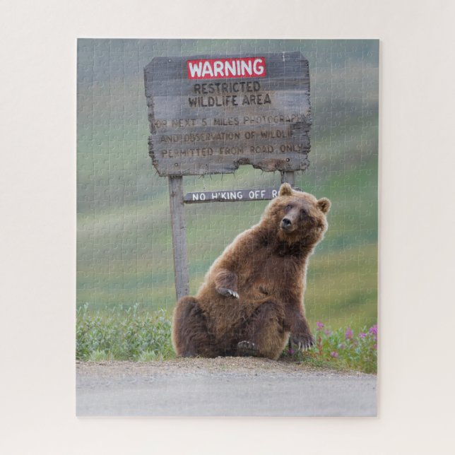 Puzzle Grizzly Bear Plays With Sign (Vertical)
