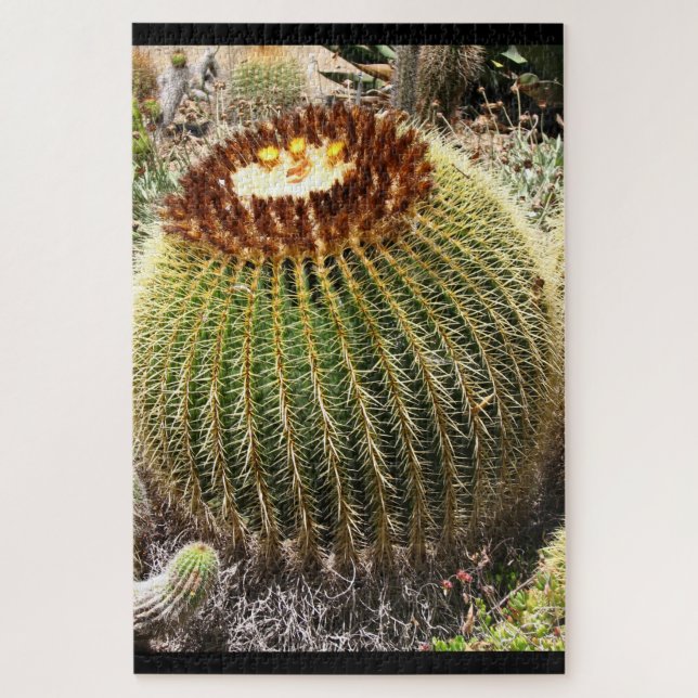 Puzzle Gros cactus ronds à pointes (Vertical)