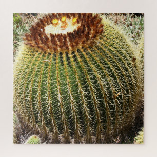 Puzzle Gros cactus ronds à pointes