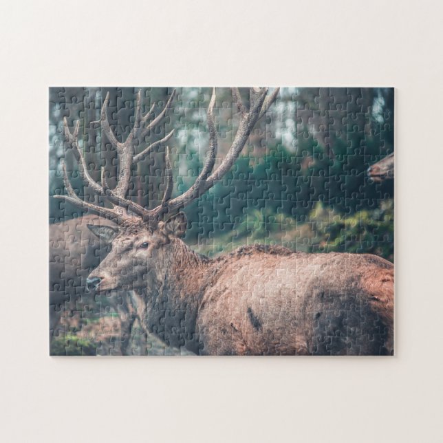 Puzzle Gros cerf Brown avec gros colliers (Horizontal)
