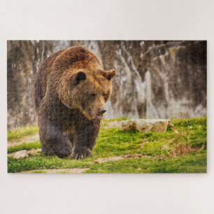 Puzzle Gros Ours Grizzli Dans L'Animal Sauvage