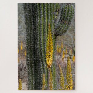Puzzle Gros plan de cactus et d'agave