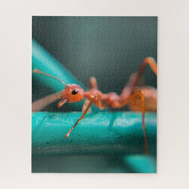 Puzzle Gros plan des fourmis (Vertical)