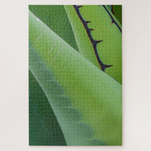 Puzzle Gros plan sur l'Agave