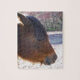 Puzzle Gros plan sur un cheval brun, petit poney brun