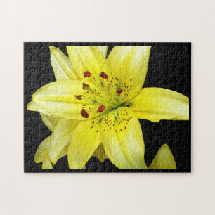 Puzzle Gros plan sur un lys jaune