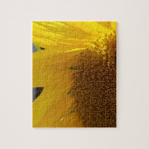 Puzzle Gros plan sur un tournesol jaune