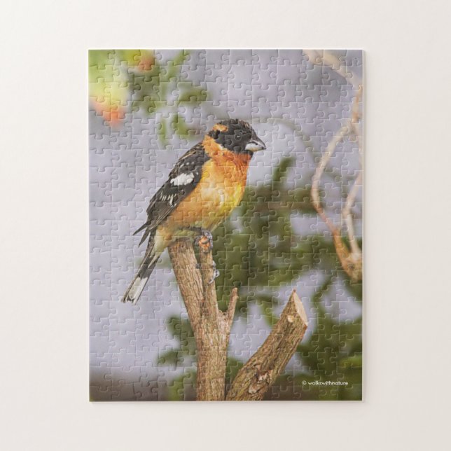 Puzzle Grosbeak à tête noire à la branche (Vertical)