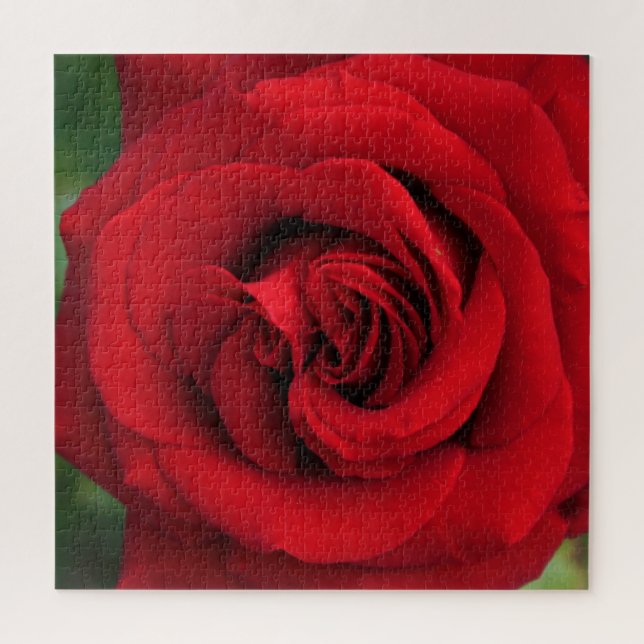 Puzzle Grosse Rose simple presque (Vertical)