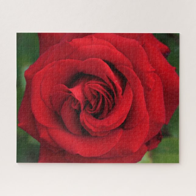 Puzzle Grosse Rose simple presque (Horizontal)