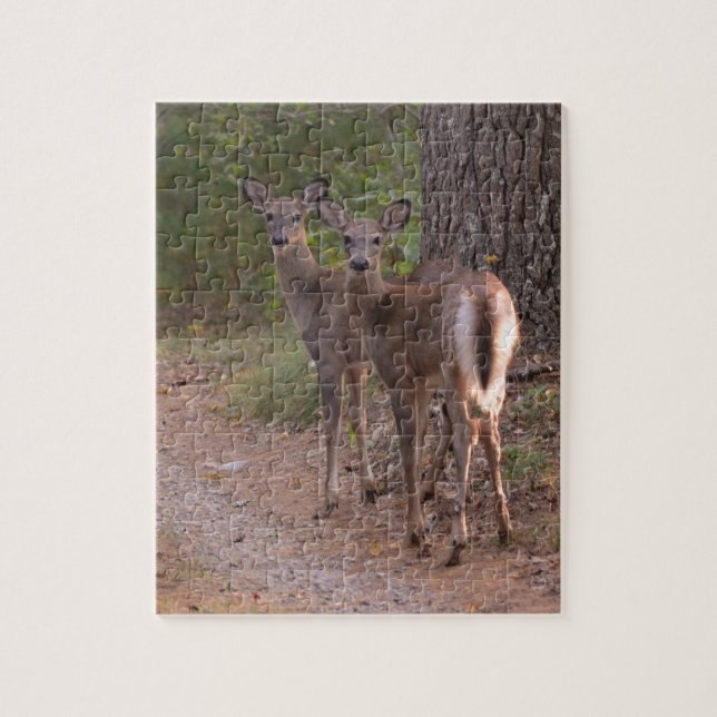 Puzzle Groupe de cerfs communs (Vertical)