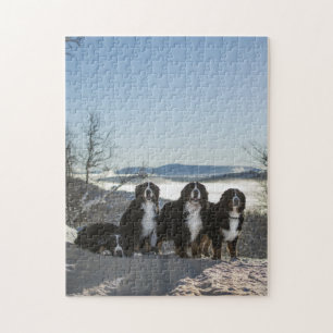 Puzzle groupe de chiens de montagne bernais