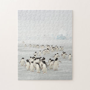 Puzzle Groupe de pingouins