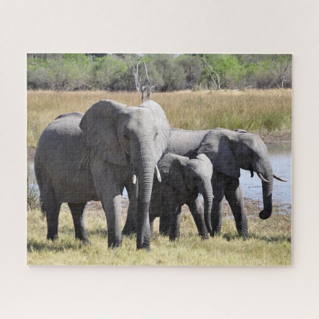 Puzzle Groupe d'éléphants africains devant le trou d'eau (Horizontal)