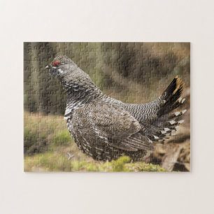 Puzzle Grouse fière