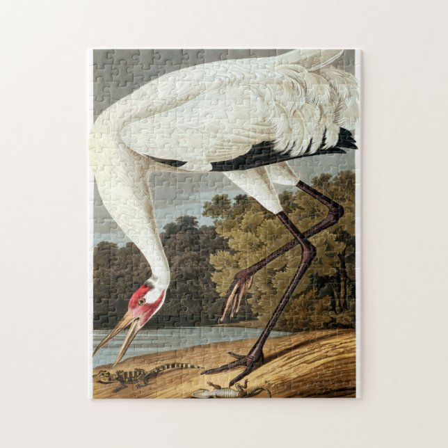 Puzzle Grue blanche par John James Audubon (Vertical)