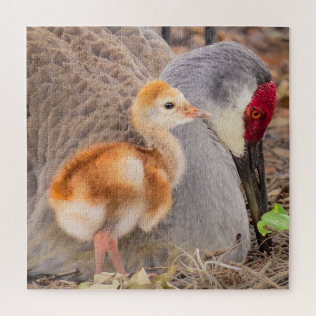 Puzzle Grue de Sandhill et chick mignon (Vertical)
