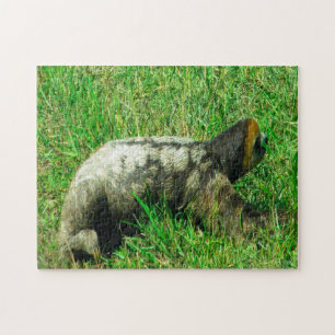 Puzzle Guyana Sloath.