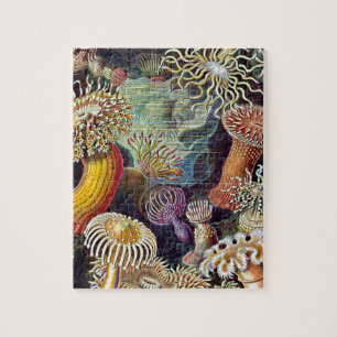 Puzzle Haeckel Sea Anemone Ocean Life Nature Art Peinture