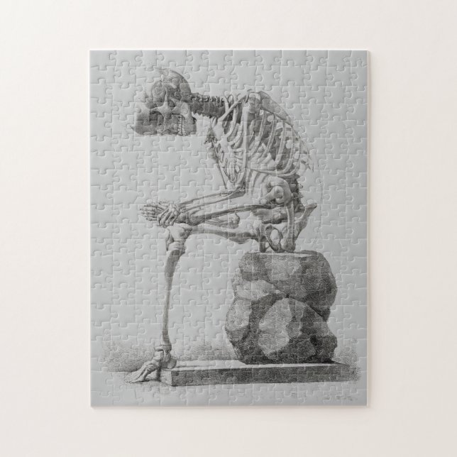 Puzzle Halloween squelette assis anatomie (Vertical)