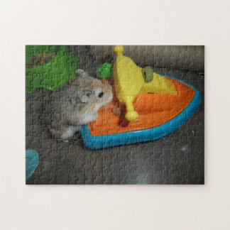 Puzzle Hamster sur un Jet-ski