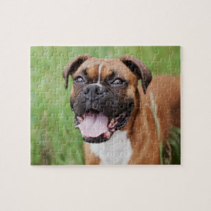 Puzzle Happy Boxer 8x10