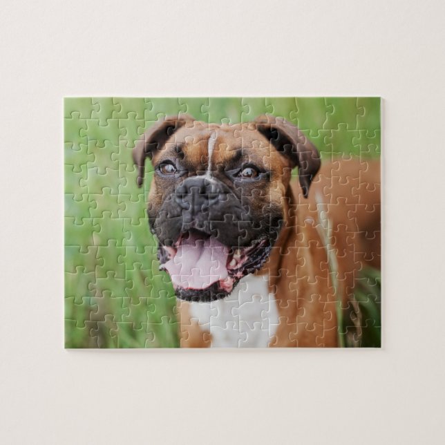 Puzzle Happy Boxer 8x10 (Horizontal)