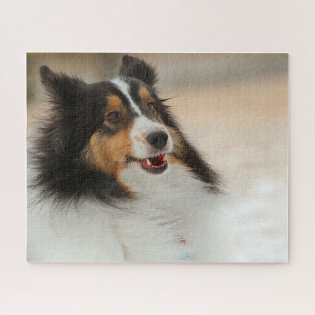 Puzzle Happy Shelty (Horizontal)