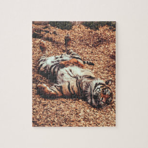 Puzzle Happy Tiger Belly Up Rolling en Feuille