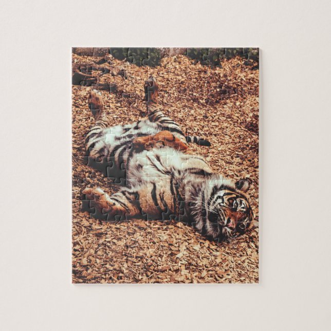 Puzzle Happy Tiger Belly Up Rolling en Feuille (Vertical)