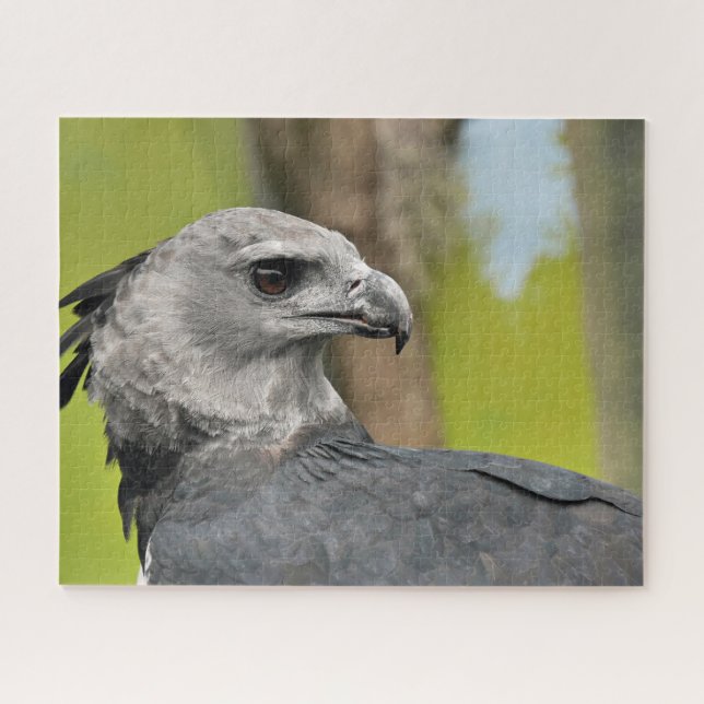 Puzzle Harpy Eagle (Horizontal)